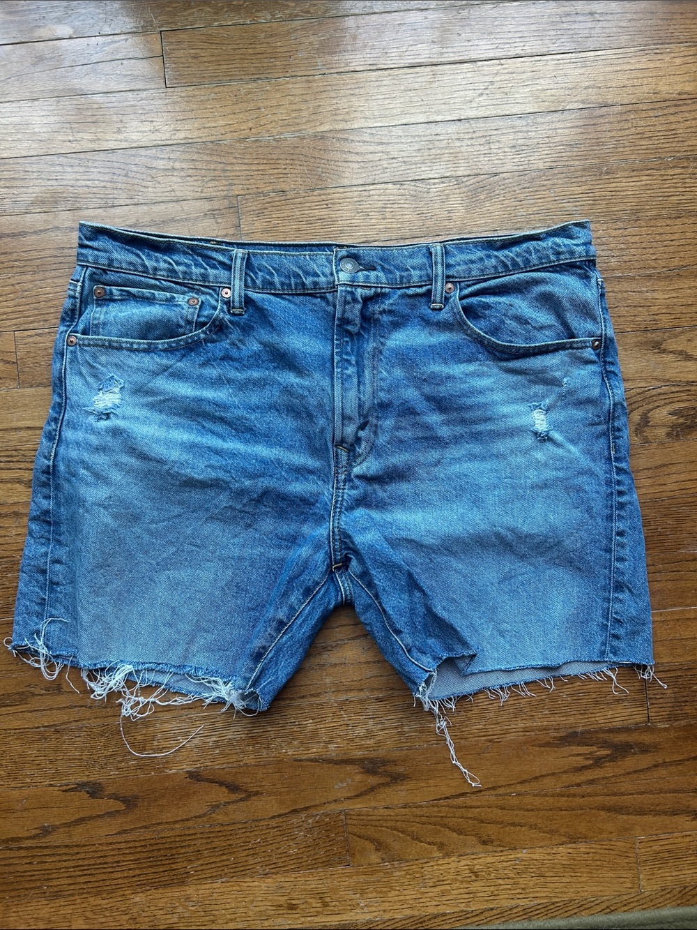 American Eagle Outfitters Distressed Blue Denim Cutoff Shorts